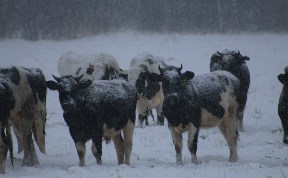 Происшествия