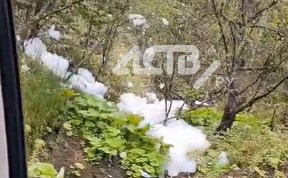 Общество