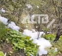 "И всё это идёт в море": сахалинцы сняли на видео "мыльный" ручей, несущий клубы пены