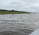 Инспекторы рыбоохраны за 5 дней избавили реки Сахалина от 70 браконьерских сетей 