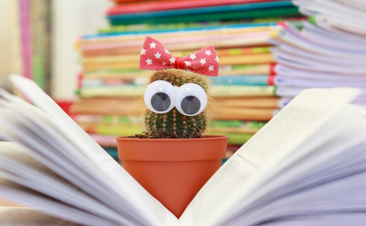 Гороскоп на 5 января: Овен вспоминает поводы для обид, Телец находит хорошую книгу