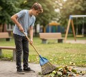 Кадровый центр рассказал, сколько может заработать подросток летом на Сахалине 