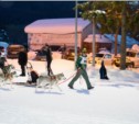 Традиционная вечерняя лыжная гонка состоялась в Южно-Сахалинске (ФОТО)