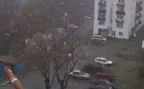 Общество