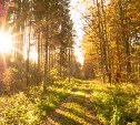 До +21° и лёгкий ветерок: прогноз для Сахалинской области на 20 сентября