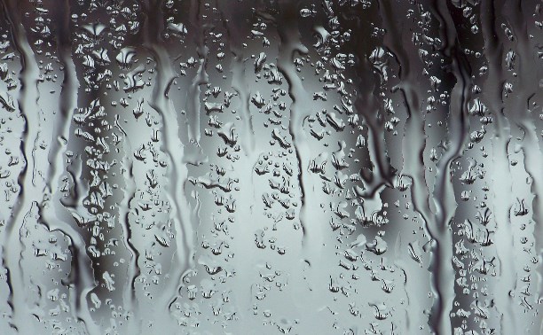 Циклон отступает: синоптики уточнили прогноз погоды на Сахалине 2 декабря