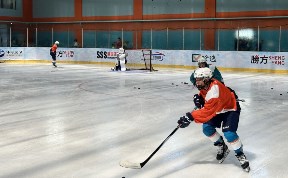 Спорт