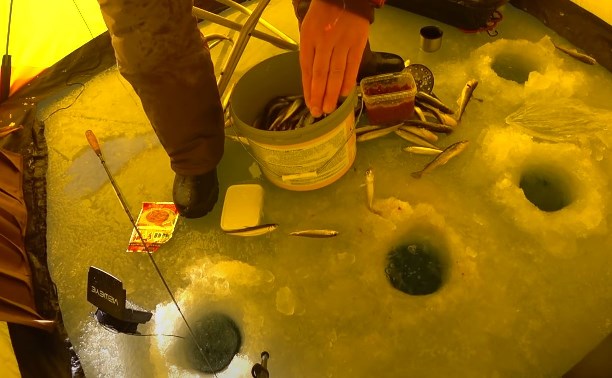 "Как из бочки": сахалинский рыбак снял бешенный клёв корюшки на Изменчивом