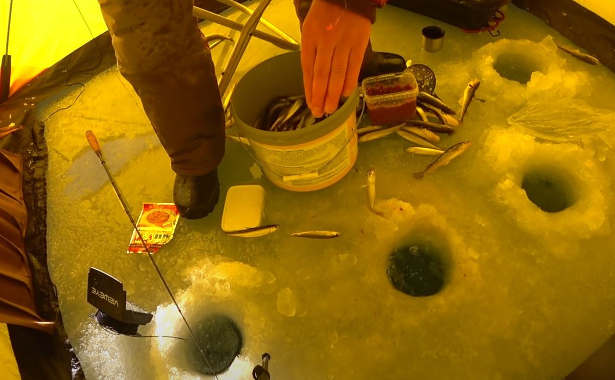 "Как из бочки": сахалинский рыбак снял бешенный клёв корюшки на Изменчивом