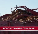 У "бесхозных" полей с морковкой в Березняках нашёлся хозяин