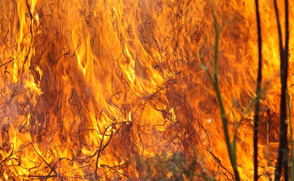 Два гектара мусора и травы сгорело на территории воинской части Смирных