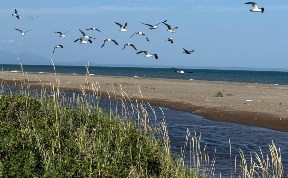 Общество