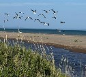 На юге будет прохладнее: прогноз погоды для всех районов Сахалинской области на 30 июля
