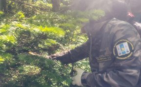 Общество