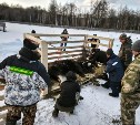 Состояние ухудшилось: пострадавшего лося на Сахалине перевезли в зоопарк