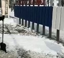 Перед "Детьми Азии" рабочим поручили украсить Южно-Сахалинск чистым снегом