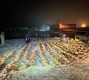 Сотрудники ФСБ изъяли почти 2 тонны камчатского краба на Сахалине