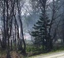 Лесной пожар тушат у Тунайчи в Корсаковском районе