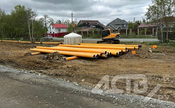 Вырубка леса на выезде из Южно-Сахалинска обеспокоила жителей