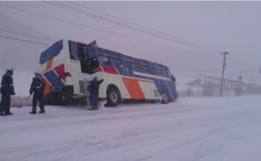 Общество