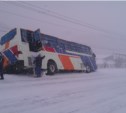 Автобус с сахалинцами попал в ДТП на Хоккайдо ВИДЕО