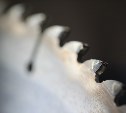 Полицейские выяснили, зачем парень ходил по Южно-Сахалинску с бензопилой в чёрном пакете