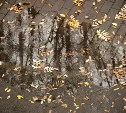 На Сахалине похолодание и снег, а на Курилах ветрено и до +8 °C: прогноз погоды для региона на 29 октября