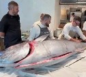Выловленного гигантского тунца пустили на сашими и стейки в сахалинском ресторане