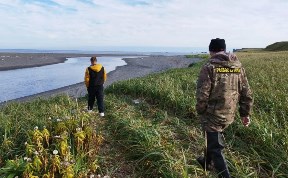 Происшествия