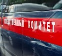 В районе реки Лопатинка на Сахалине обнаружили тело мужчины