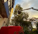 В Южно-Сахалинске спасали мужчину, застрявшего на дереве на уровне пятого этажа