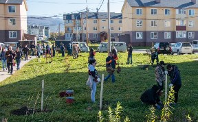 В Новотроицком люди посадили больше 300 деревьев и кустарников