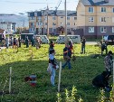 В Новотроицком люди посадили больше 300 деревьев и кустарников