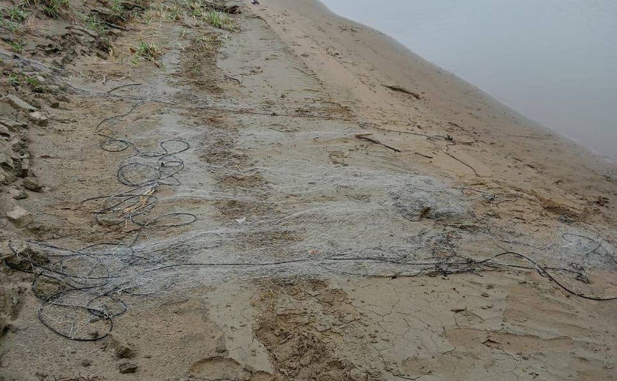 Поставили "ловушку" для рыбы: сеть длиной более 15 метров вытащили из реки в Долинском районе