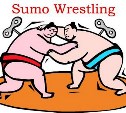 Впервые на Сахалин прибыли борцы сумо