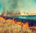 За полдня в Сахалинской области в 7 разных районах сгорело 505 "квадратов" сухой травы