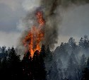  Высокая пожарная опасность сохраняется в лесах двух районов Сахалинской области