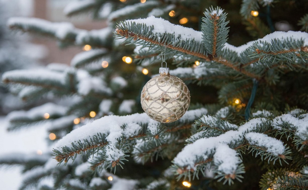 2025 год подарит снегопады на прощание Сахалину и Курилам: прогноз для региона на 31 декабря