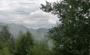 Происшествия