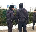 Полицейские устроили засаду на продавца первого в Южно-Сахалинске елочного базара