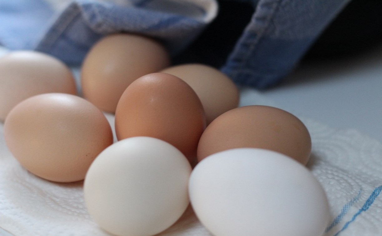 Почти 60 млн яиц снесли сахалинские куры в этом году