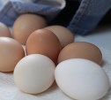 Почти 60 млн яиц снесли сахалинские куры в этом году