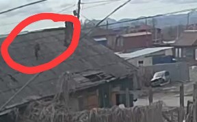Происшествия