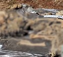 На Сахалине раскрыли убийство четырех мужчин, совершенное 18 лет назад