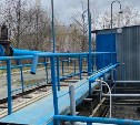 В Южно-Сахалинске рассказали, кто съедает отходы канализации