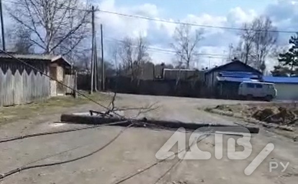 В поселке Тымовского района на дорогу массово повалились столбы связи