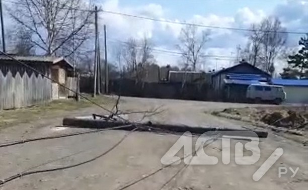 В поселке Тымовского района на дорогу массово повалились столбы связи