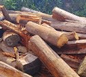 Свалку со старой мебелью и стройматериалами вывезли из села Стародубского