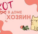 На конкурс самых шкодных котов Сахалинской области прислали более 60 видео