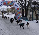 На Камчатке завершился четвёртый этап гонки "Берингия"